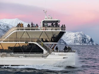 Tromsø fjord en wildlife cruise